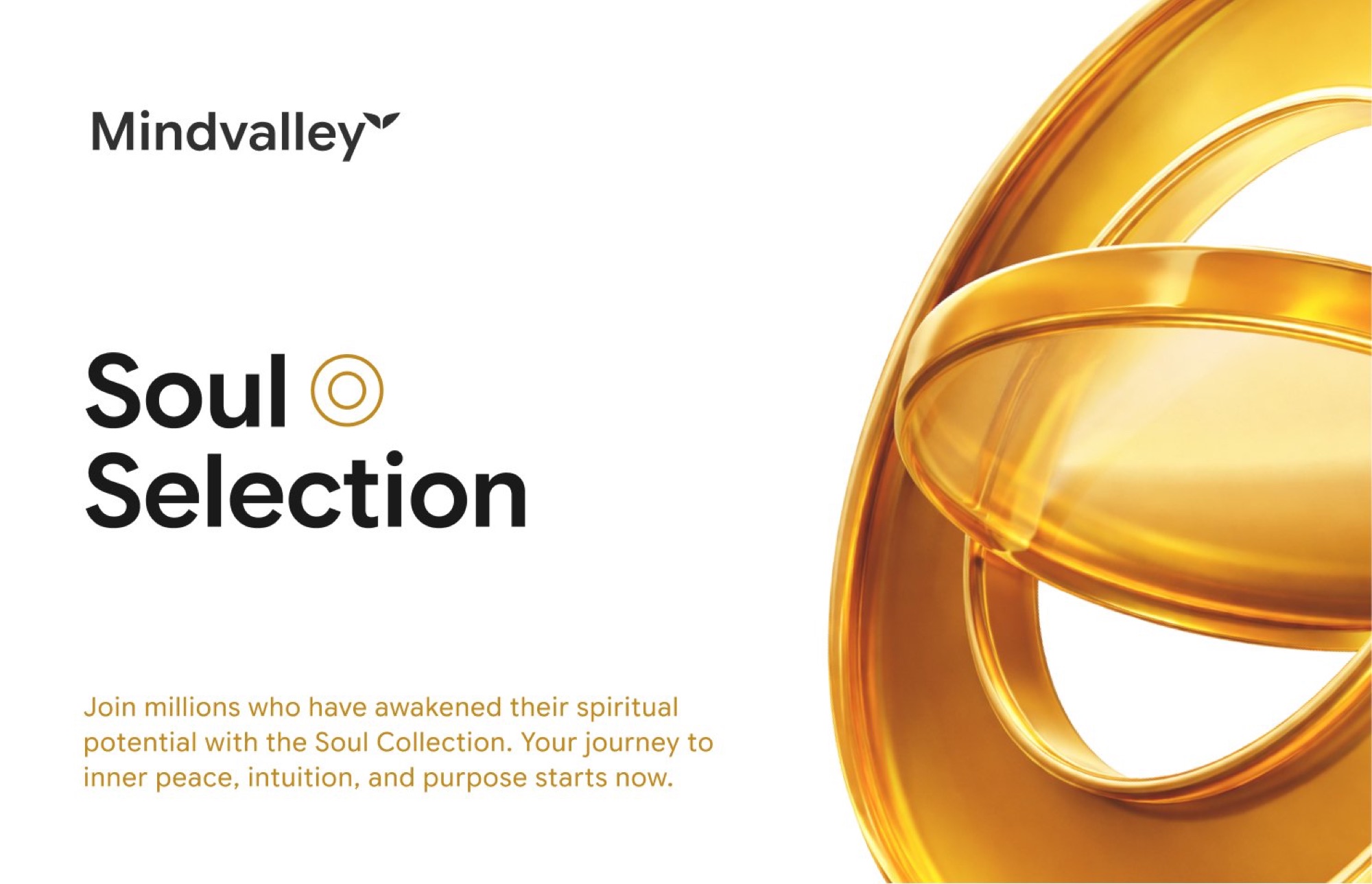 Mindvalley case study, image 9