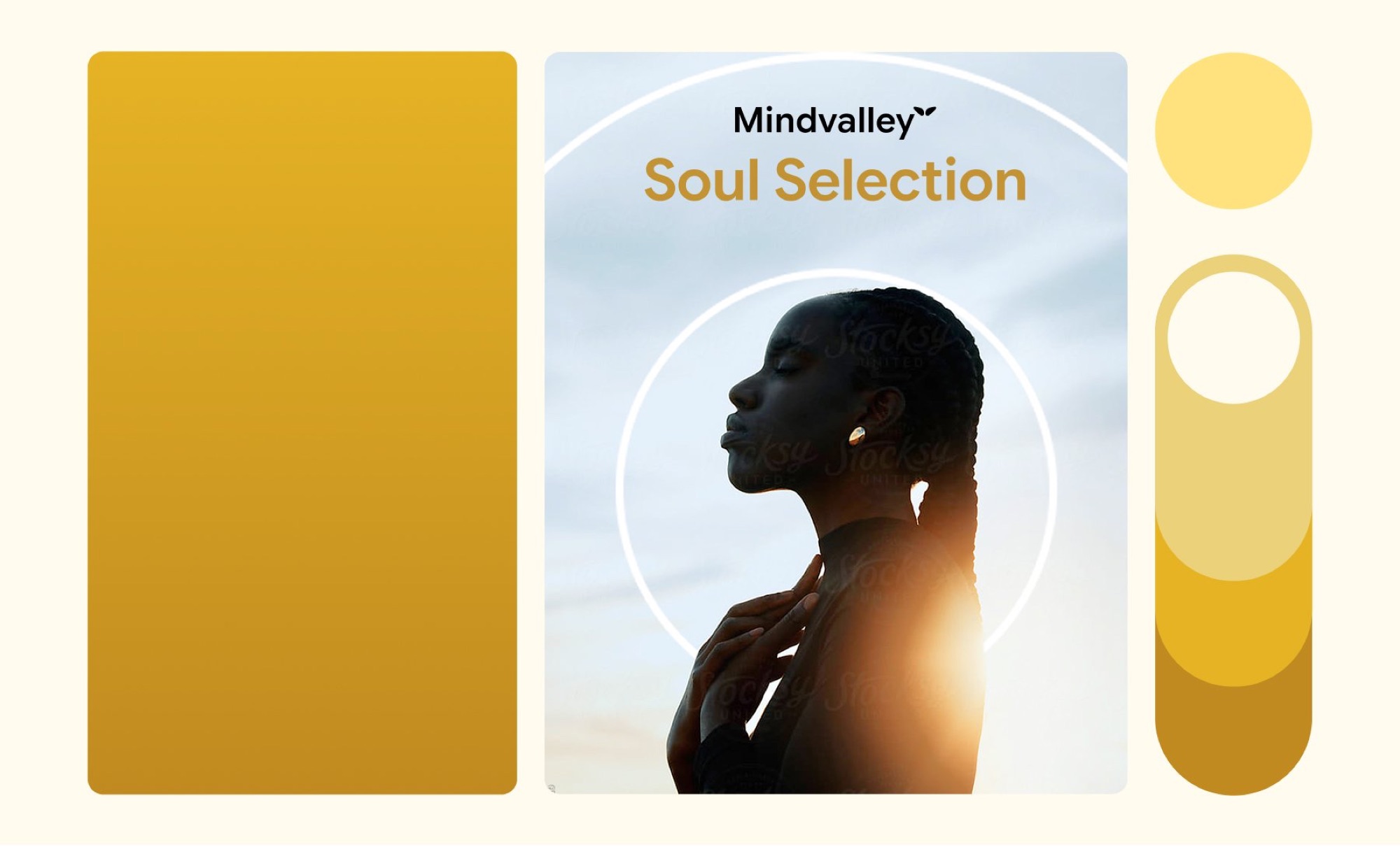 Mindvalley case study, image 12