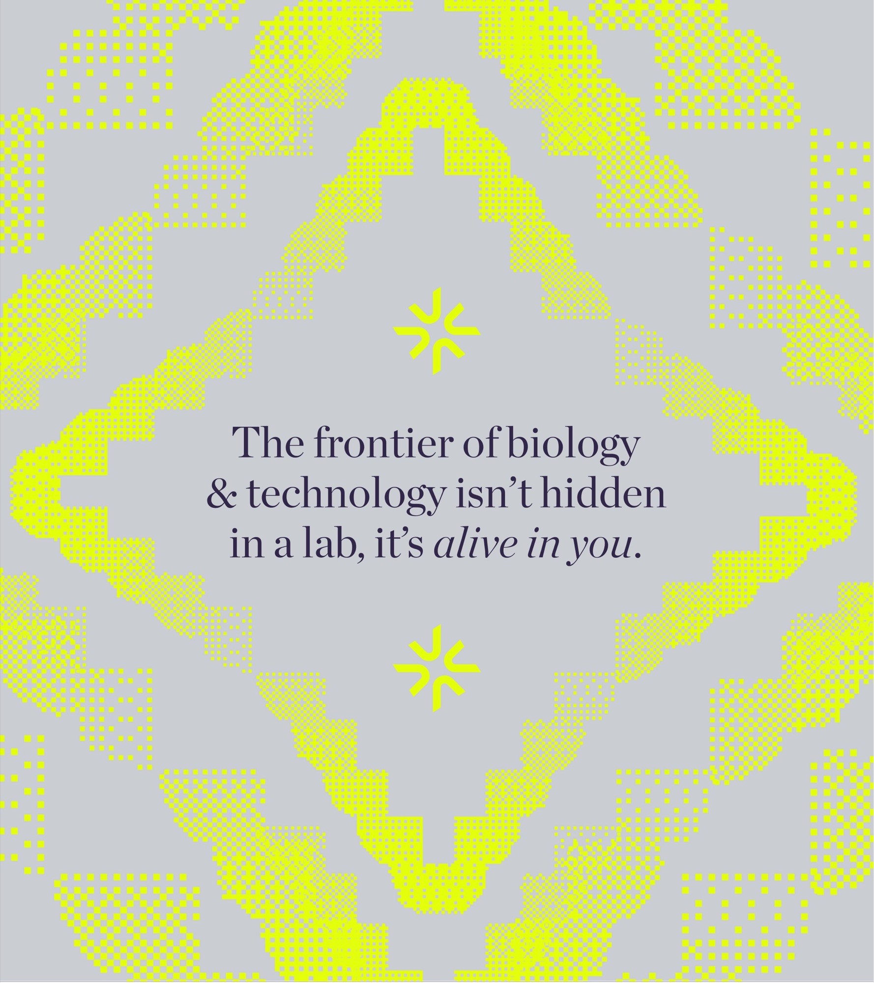 Vibrantly case study, image 12